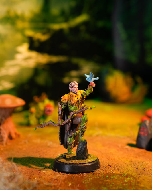 Aelarion Leafheart - Witches of sommar lijn - Miniatures